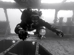 Image result for Stortford Divers