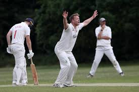 Image result for Welwyn Garden City Cricket Club