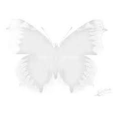 Attēlu rezultāti vaicājumam “Rusina ferruginea female”