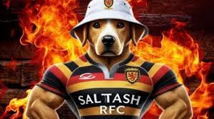 Image result for Saltash RFC