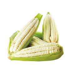 Image result for Mais