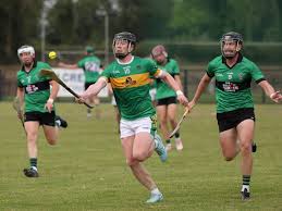 Image result for Patrick Sarsfield Gaelic Athletic Club