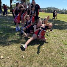 Image result for Lawn Netball Club