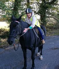 Image result for Bookham Riding Club