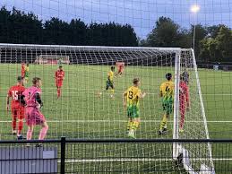 Image result for Brading Town Football Club