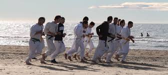 Image result for Ryuko Dojo