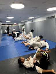 Image result for Wanstead JuJitsu Club