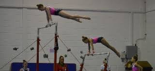 Image result for Harlequins Gymnastics Club
