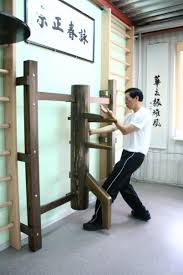 Image result for Lancaster University Wing Chun Society