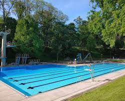 Image result for Lutterworth Swimming Club