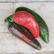 Afbeeldingsresultaat voor jalapeno early hot pepper