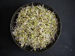 Image result for bean sprout