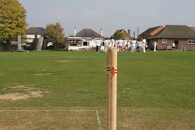 Image result for Steyning Cricket Club