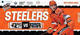 Image result for Sheffield Steelers