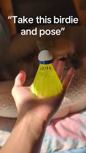 Image result for Coventry (Varsity) Badminton Club