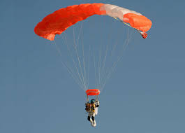 Image result for Paragon Skydiving