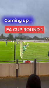 Image result for MAN v FAT Football Borehamwood