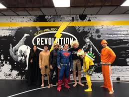 Image result for Revolution Dojo