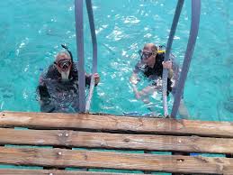 Image result for Great Western Divers