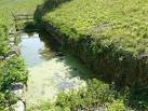 ST2859 : Dewpond unearthed. 3 km from Brean, Somerset, Great Britain - via Daymix