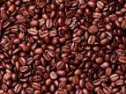 Beans :Coffee Beans , Kidney Beans, Soybeans, Peas, Vanilla Beans ...