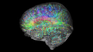 Image result for consciousness