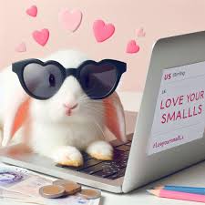 Image result for Cumbria Soaring Club