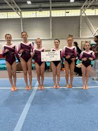 Image result for Rowan Gymnastics Club