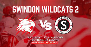 Image result for Swindon Panthers