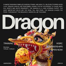 Image result for Dragon Wushu Club