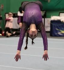 Image result for Harrogate School Of Gymnastics