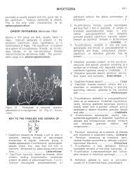 Attēlu rezultāti vaicājumam “Cribraria vulgaris spores”