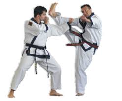 Image result for Southill Karate Club