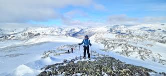 Image result for Tyneside Loipers