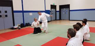 Image result for Southport Muto Aikido Club
