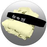 Image result for AikidoFlow