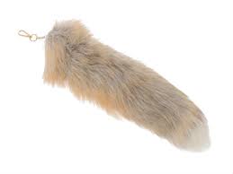 Image result for Fuchsschwanz