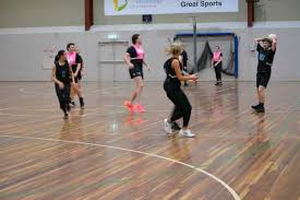 Image result for Sports Centre Netball
