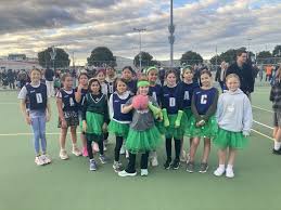 Image result for Arithesa Netball Club