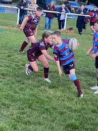 Image result for Thornhill Trojans Amateur Rugby League Football Club