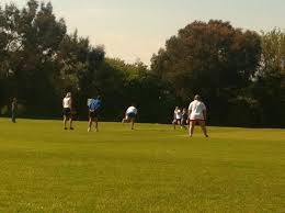 Image result for Hailsham Stoolball Club