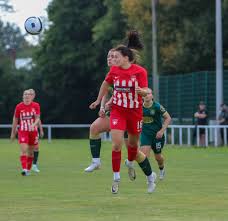 Image result for Cheadle Town Football Club