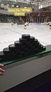 Image result for Cardiff Comets Ladies Ice Hockey