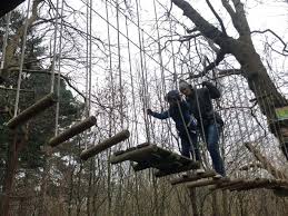 Image result for Go Ape! Leeds Castle