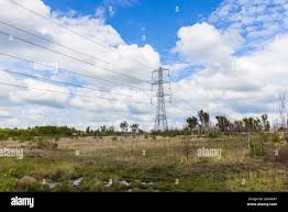 Image result for Woking Power