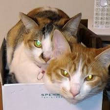 「不死身の村雨健二」の画像検索結果