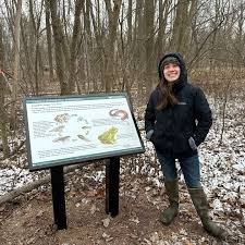 Attēlu rezultāti vaicājumam “Schistidium apocarpum stalked”