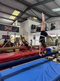 Image result for North Devon Display Gymnastics Club