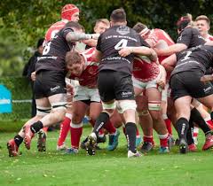 Image result for Dings Crusaders Rugby Football Club