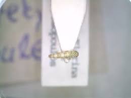 Attēlu rezultāti vaicājumam “Eupteryx vittata”